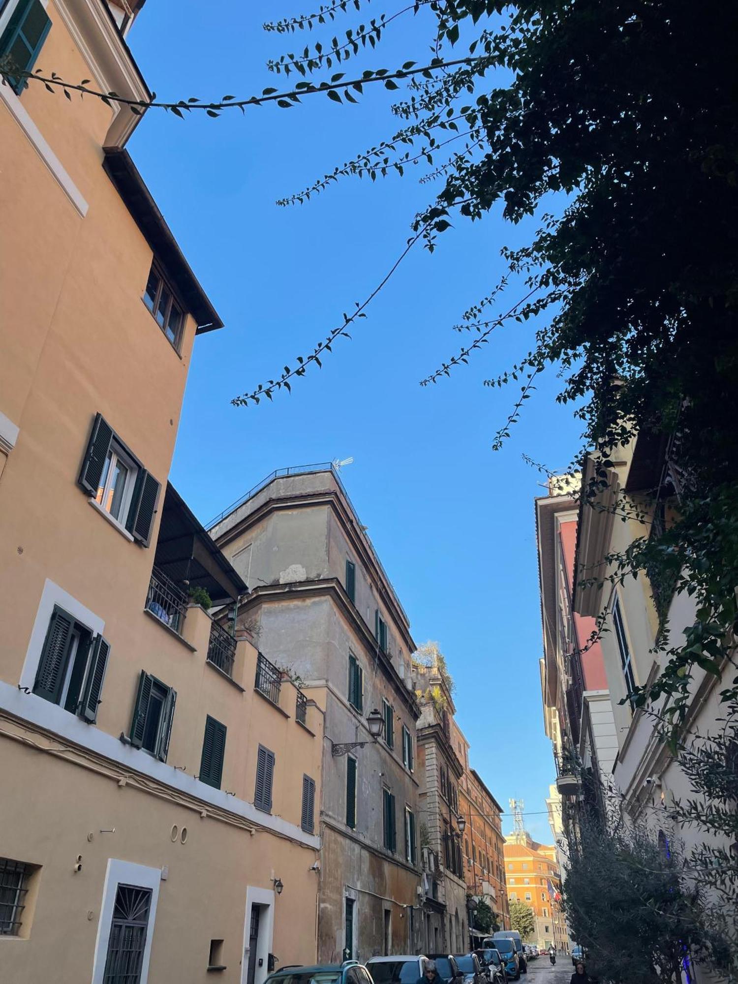 Flatinrome Trastevere Complex Экстерьер фото